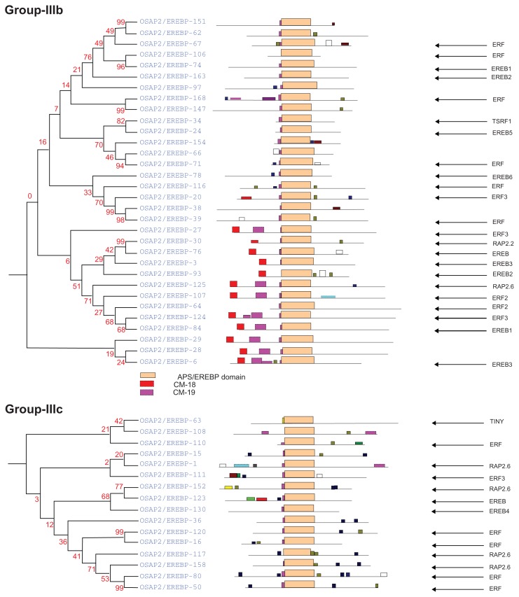 Figure 4B