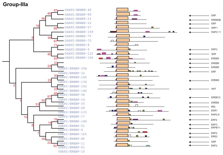 Figure 4B