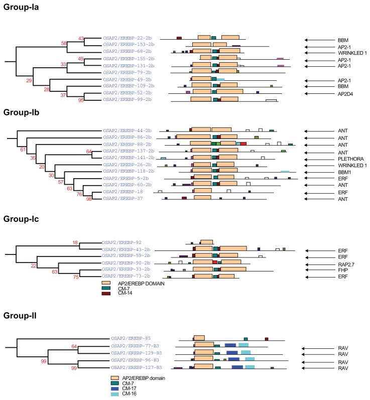 Figure 4A