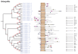 Figure 4B