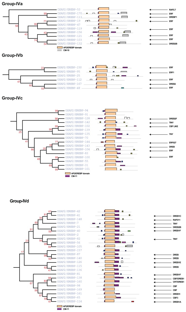 Figure 4C