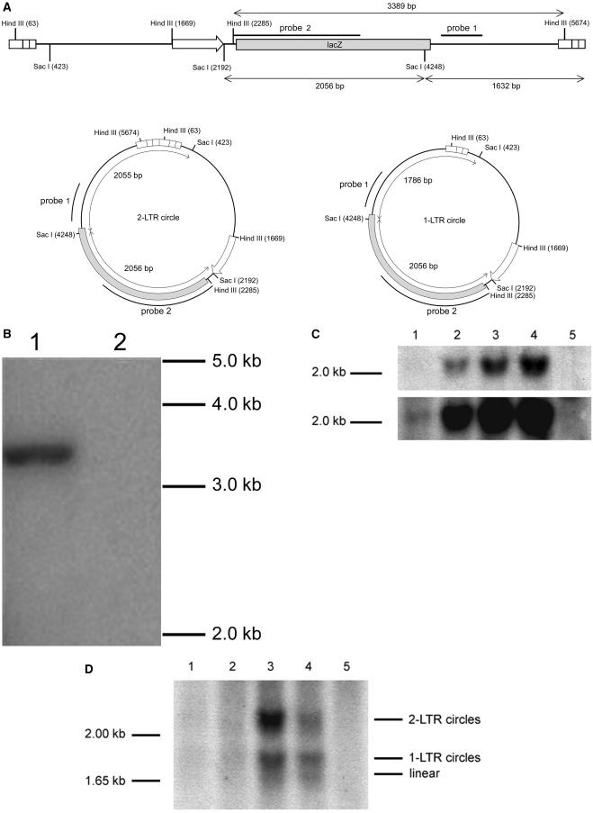 FIG.6.