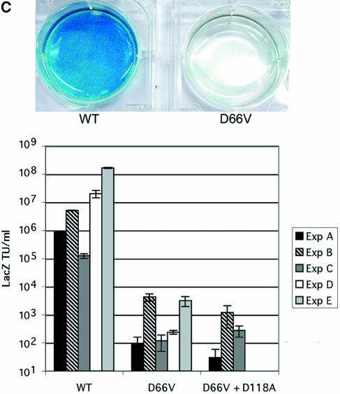 FIG. 2.