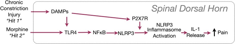 Fig. S1.