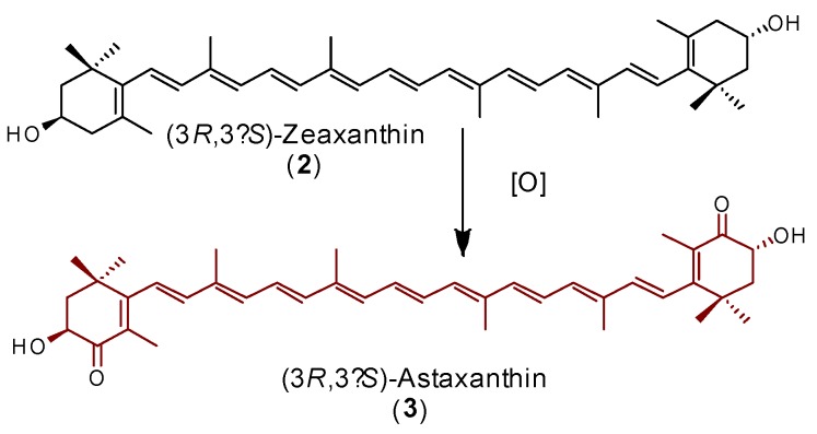 graphic file with name molecules-24-01386-i004.jpg