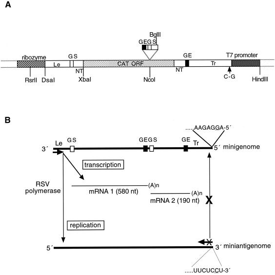 FIG. 2.