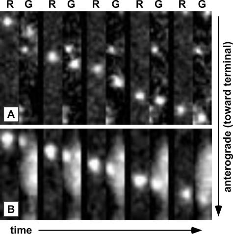 FIG. 4.