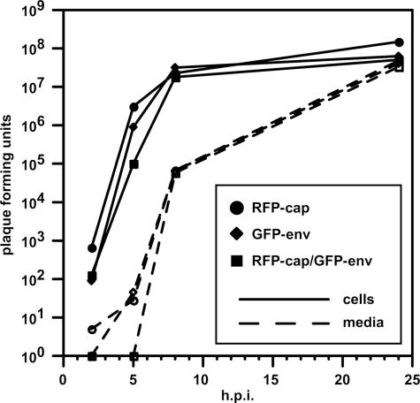 FIG. 1.