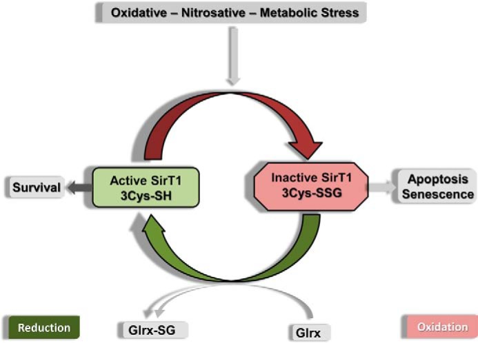 FIGURE 7.