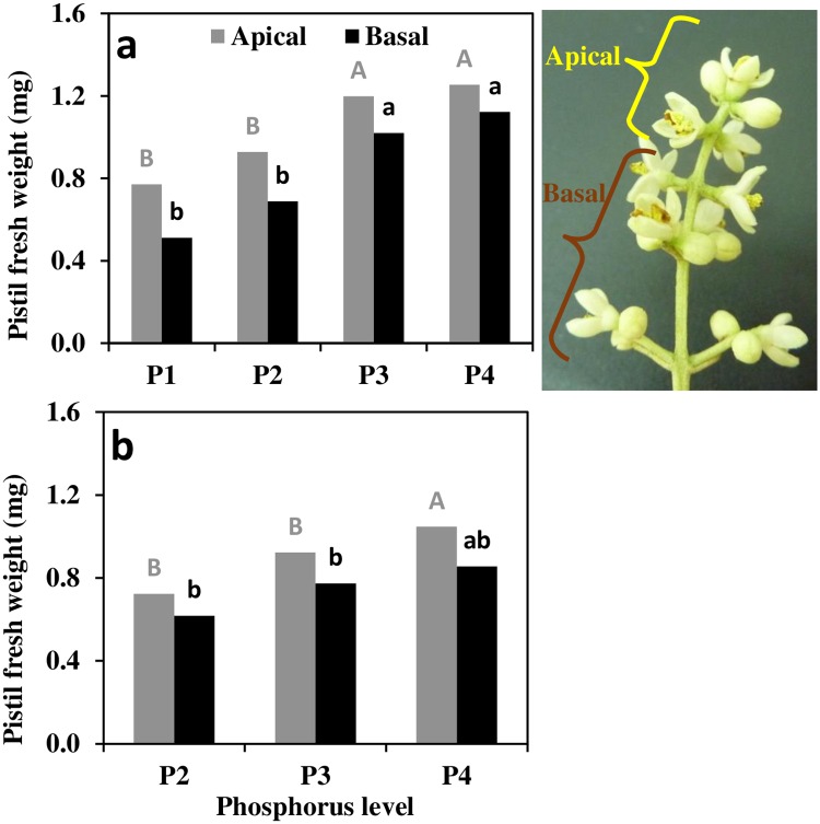 Fig 5