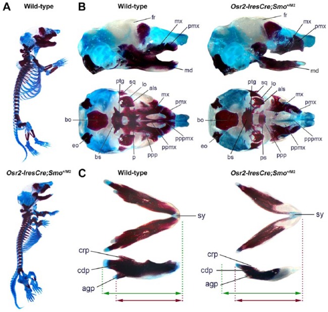 Figure 2.