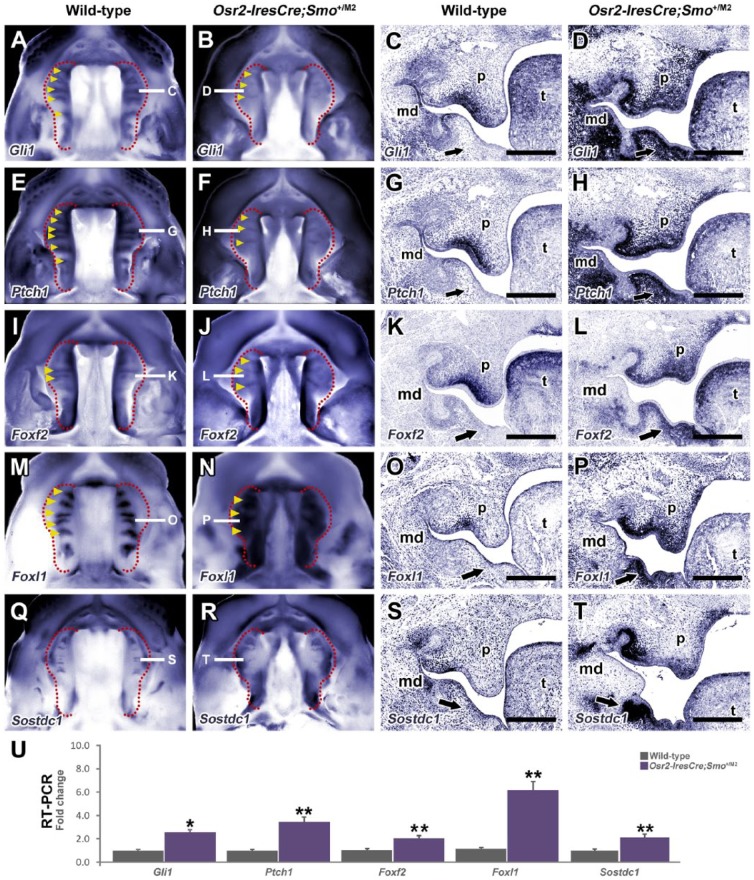 Figure 3.