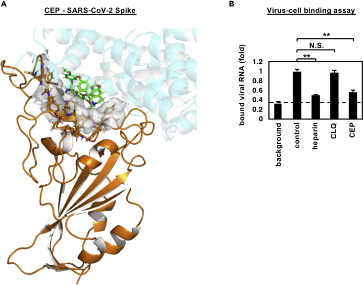 Figure 4