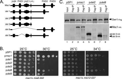 FIGURE 5.