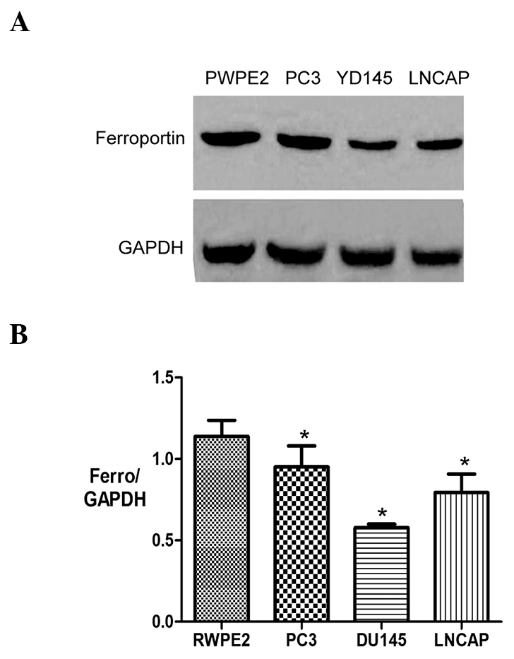 Figure 3.