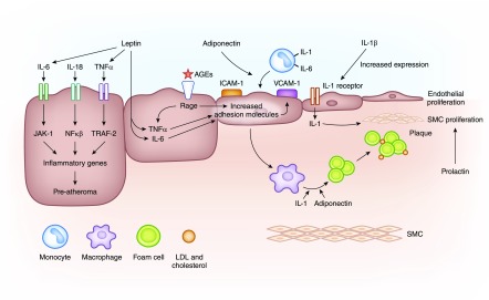 Figure 2.