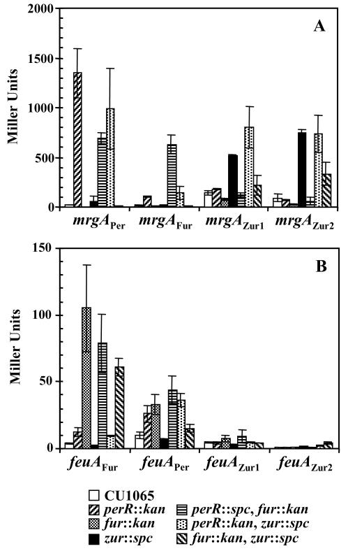 FIG. 5.