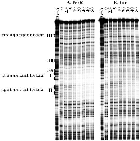 FIG. 7.