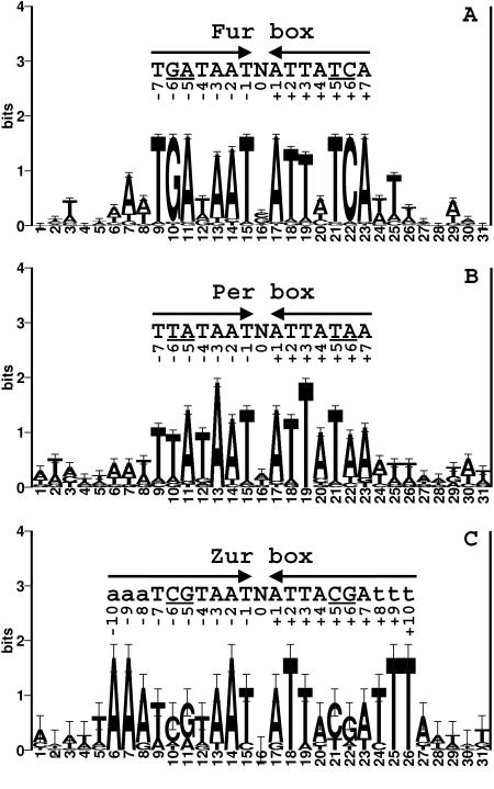 FIG. 1.