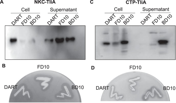 Figure 5.