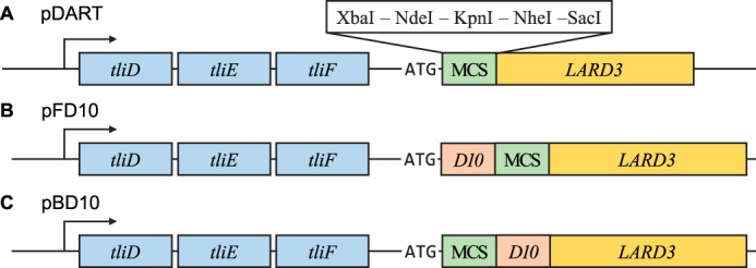 Figure 4.