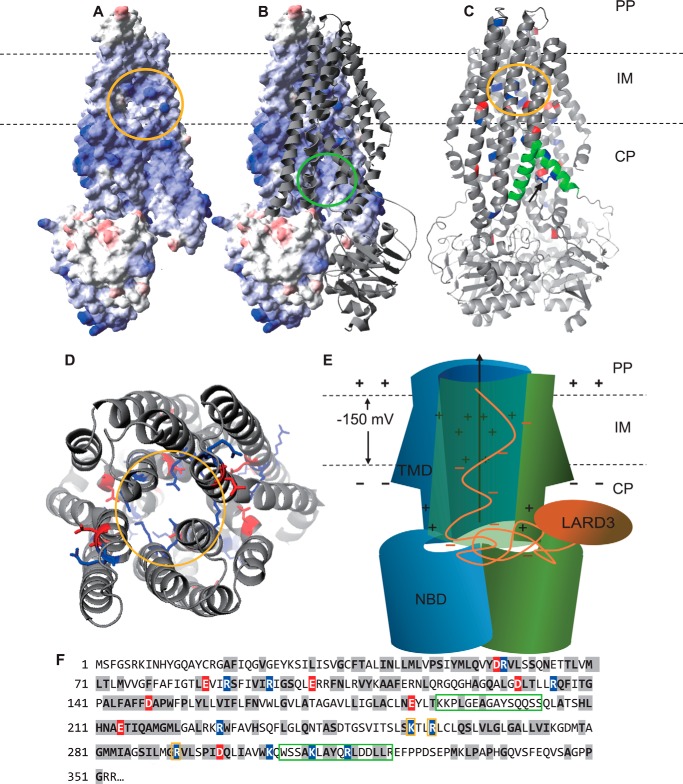 Figure 9.