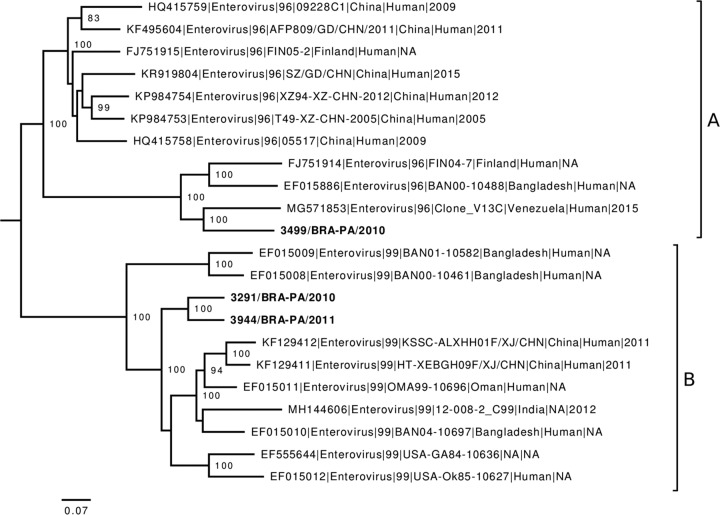 FIG 1