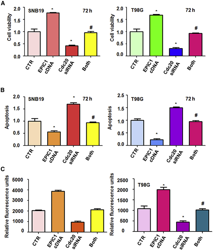 Figure 6