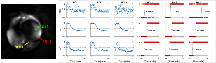 Fig. 10