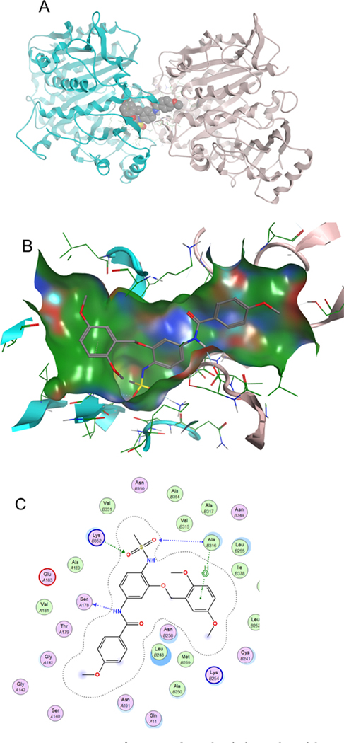 Figure 11.