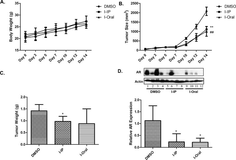 Figure 13.