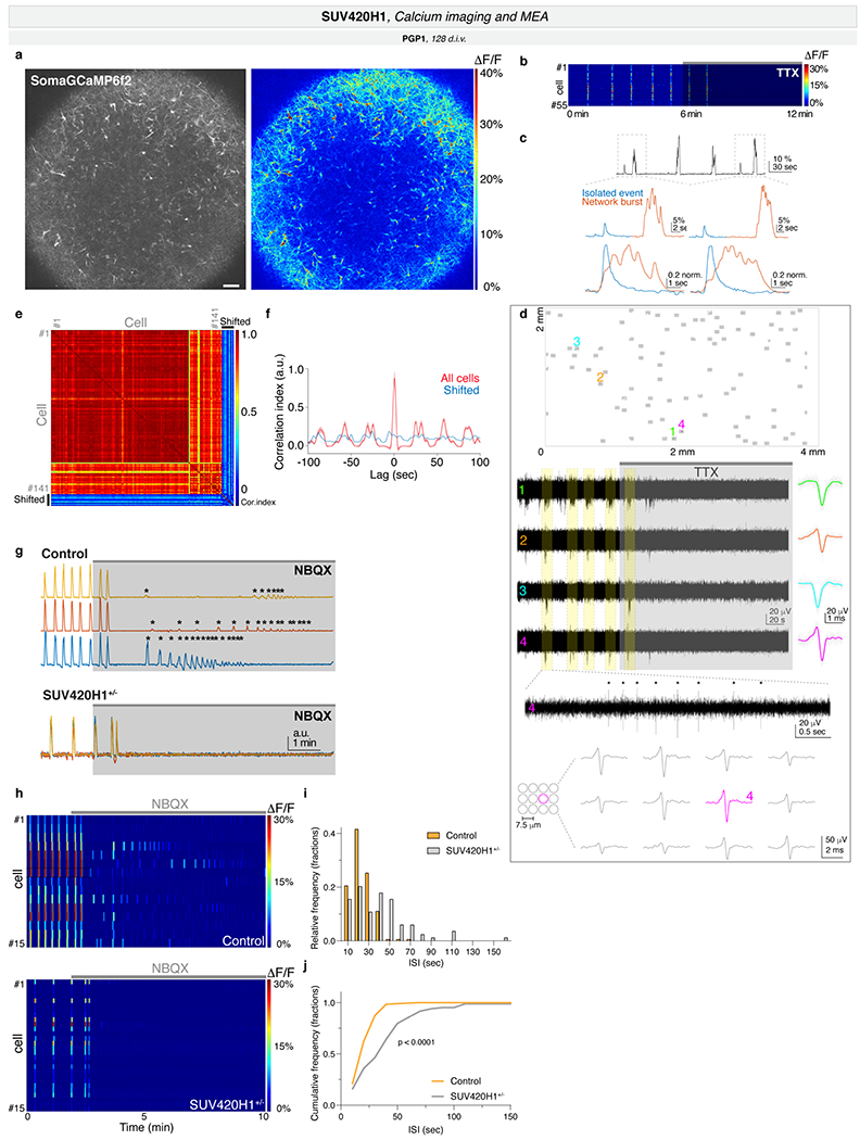 Extended Data Fig. 7.