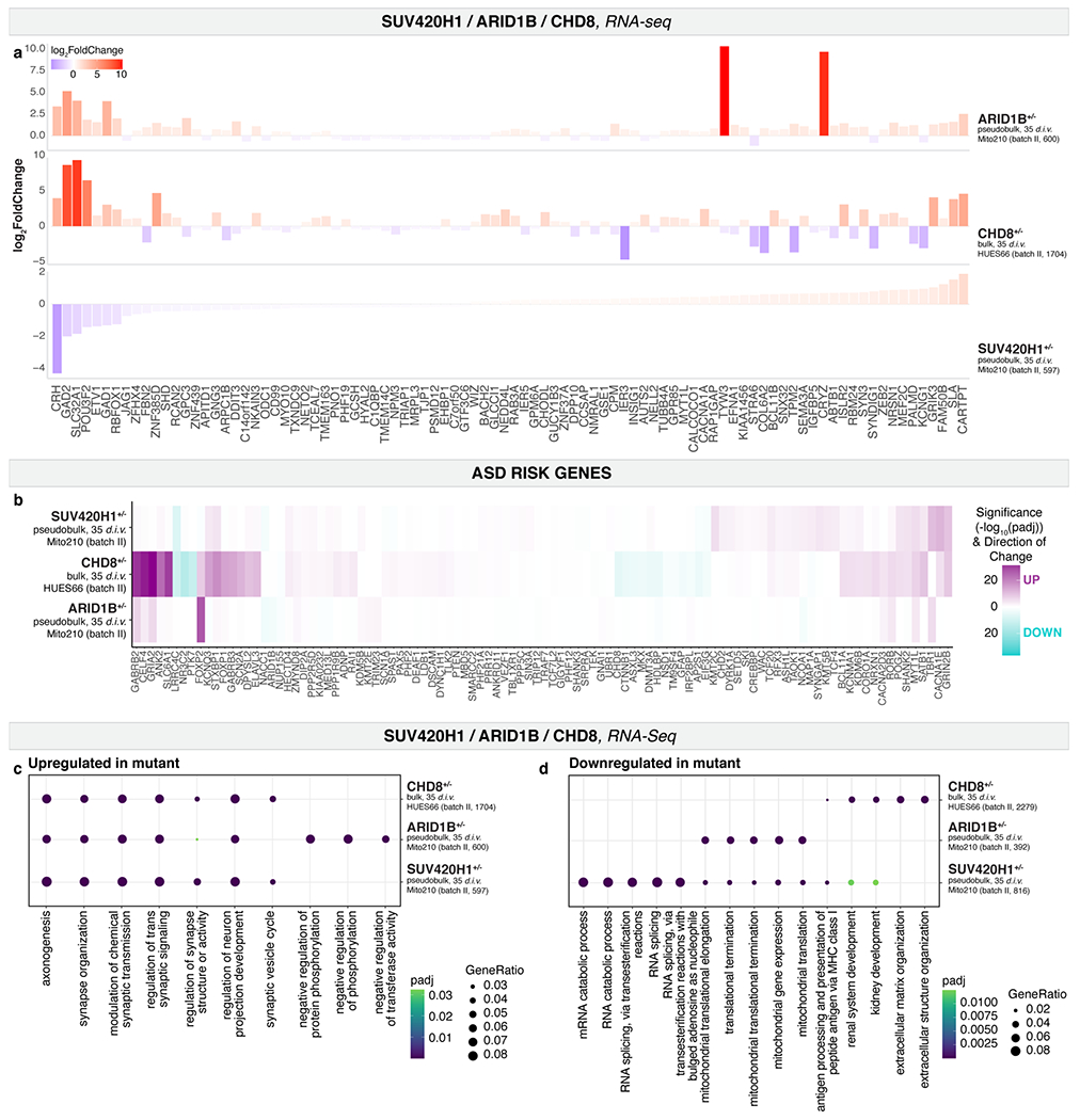 Extended Data Fig. 11.