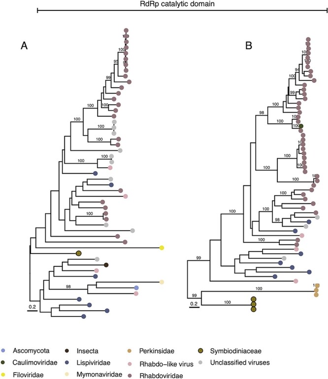 Figure 4.