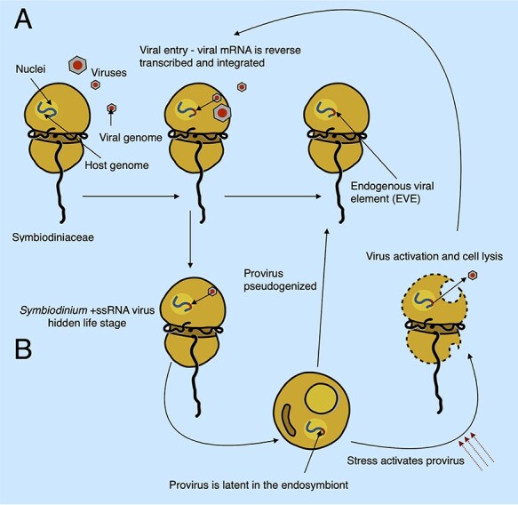 Figure 6.