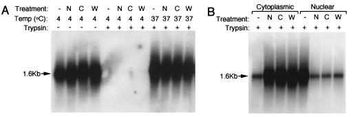 FIG. 7