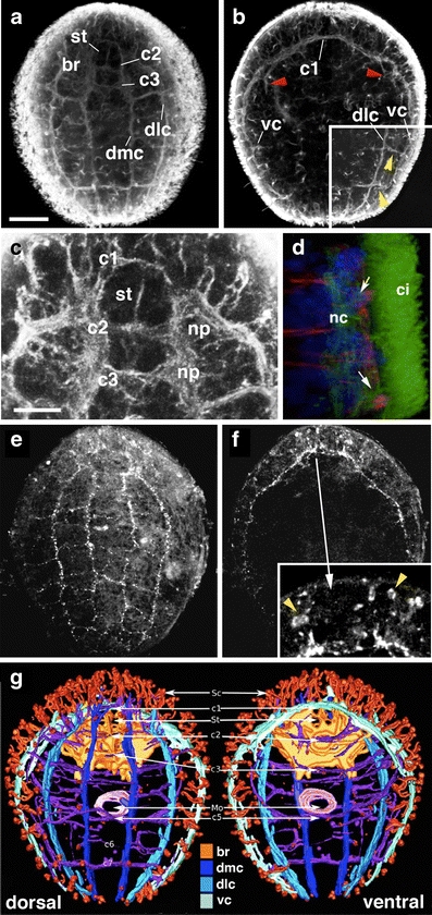 Fig. 2