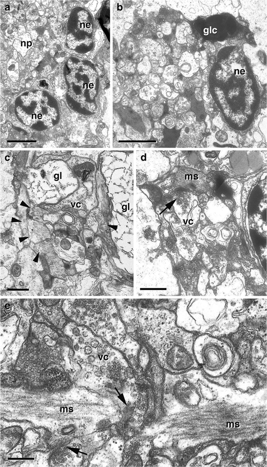 Fig. 7