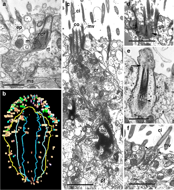 Fig. 9