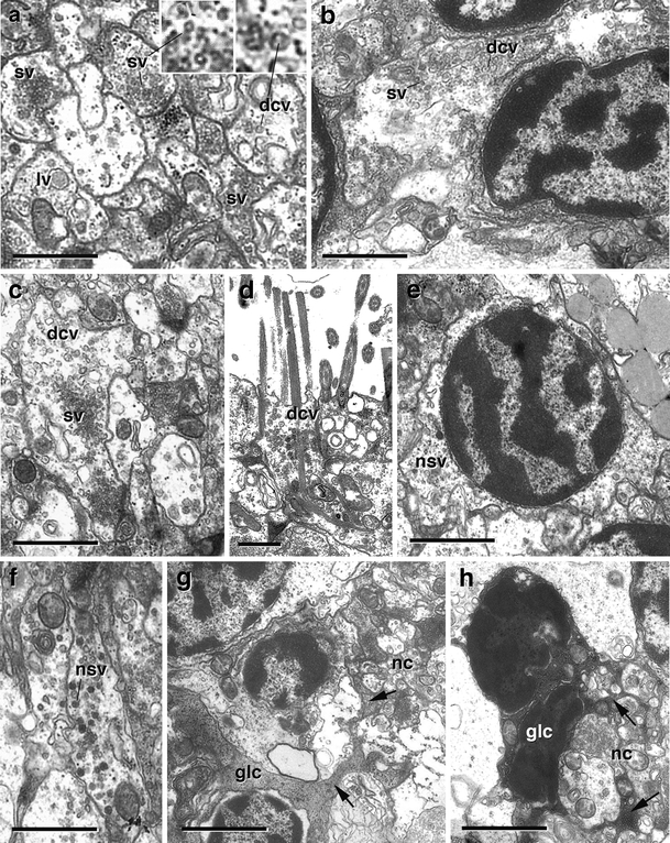 Fig. 5