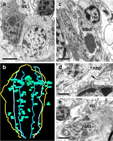 Fig. 3