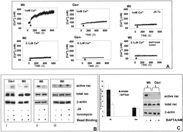 Figure 6.