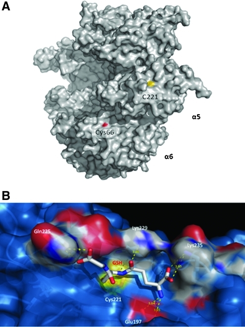 FIG. 5.