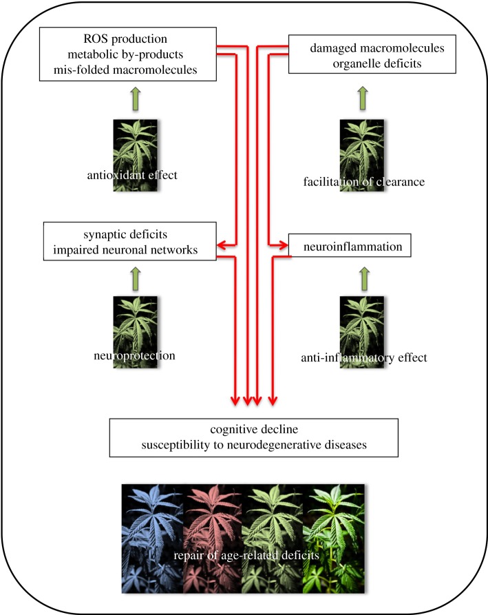 Figure 1.