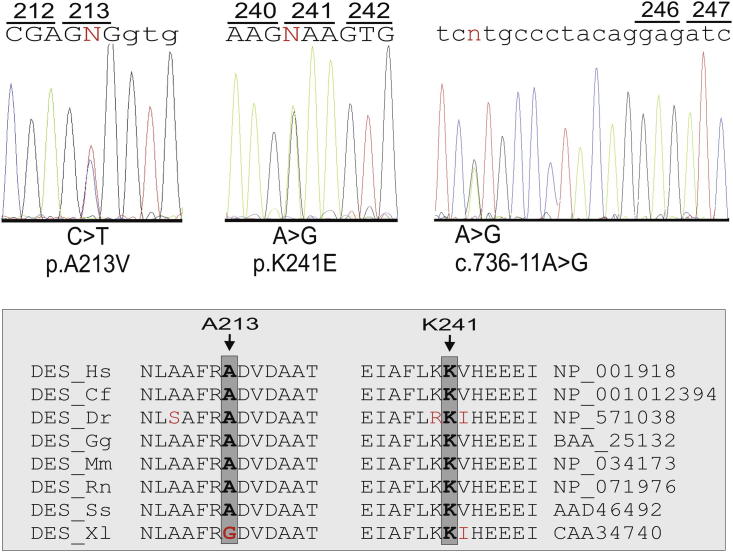 Figure 1