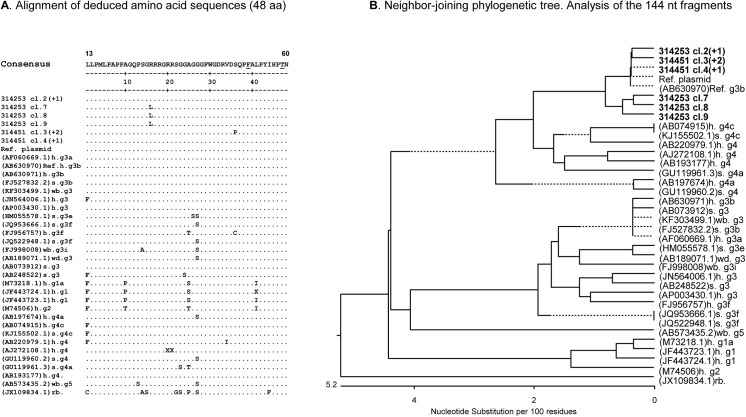 Fig 4