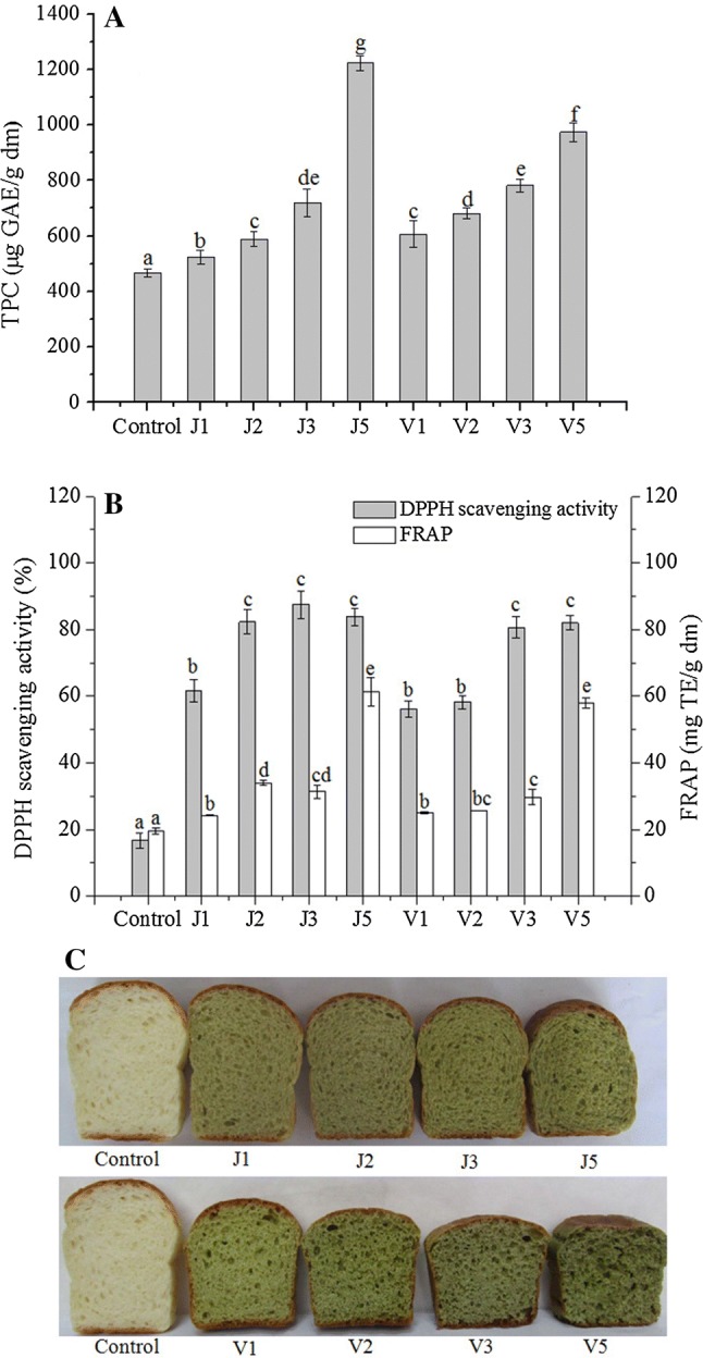 Fig. 1