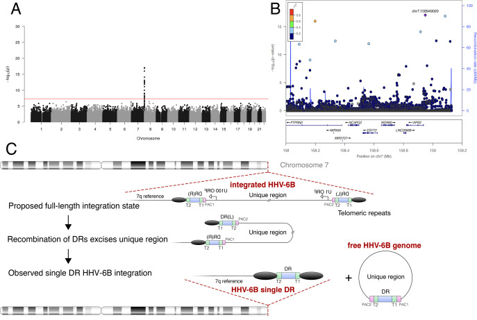 Fig 6