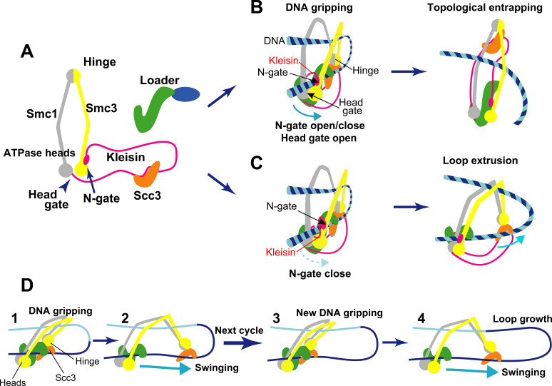 Figure 1.