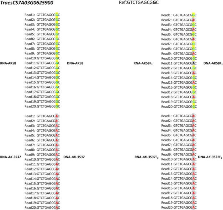 Figure 4